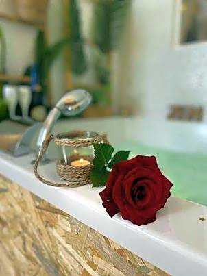 LOVER'S ROOM TROPIC