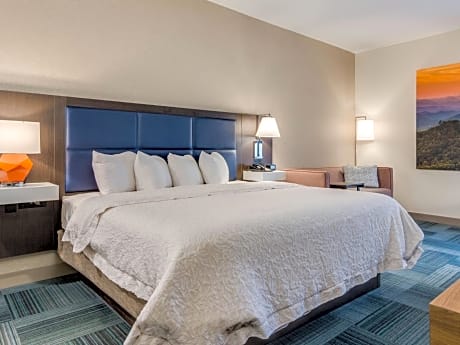 1 King Bed Study With Whirlpool Nonsmoking