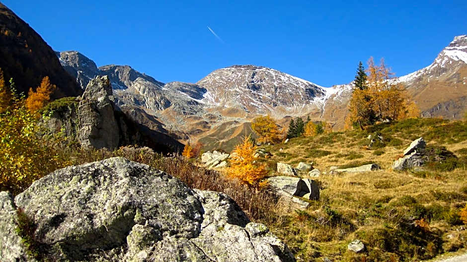 Alpengasthof Gutenbrunn