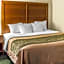 Comfort Inn Manistique
