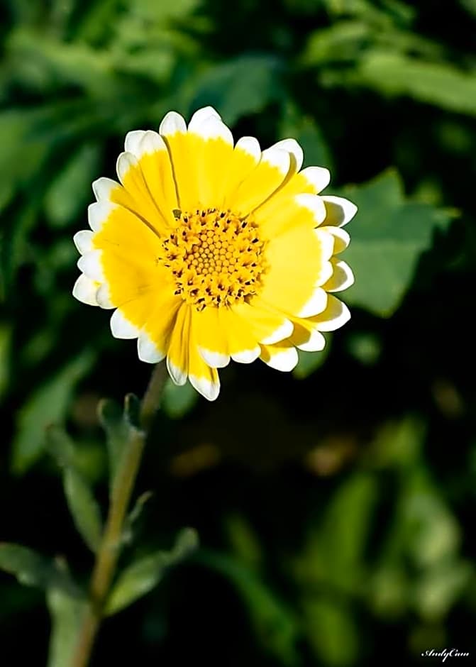 Landgasthof Rotlipp Gästezimmer