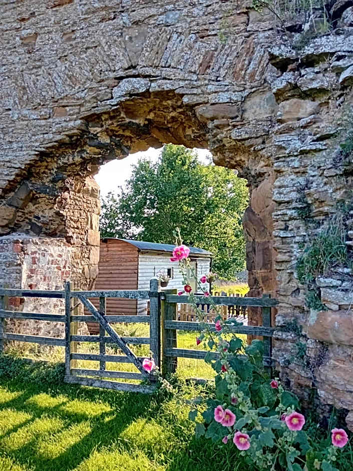 The Shepherd's Hut