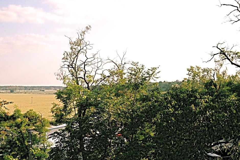 Veselý - vinný sklep