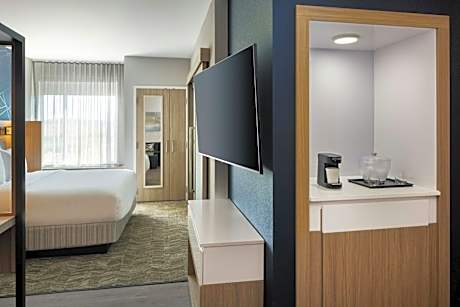 King Suite with Roll-In Shower - Mobility and Hearing Accessible