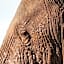 Morokolo Safari Lodge Self-catering
