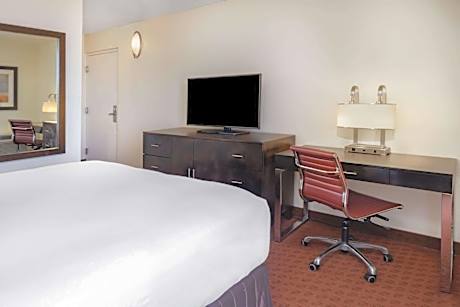 1 Double Bed, Mobility Accessible Room, Bathtub w/ Grab Bars, Non-Smoking