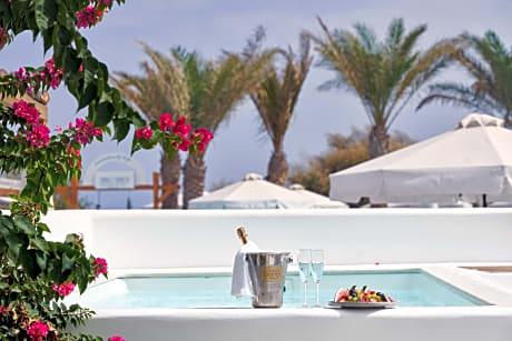 Luxury Suite with private pool