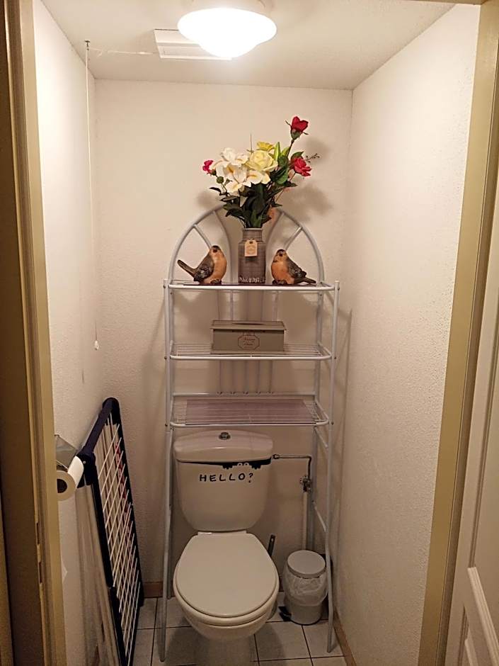 Le Roi du Sundgau près de la Horse - Mooslargue