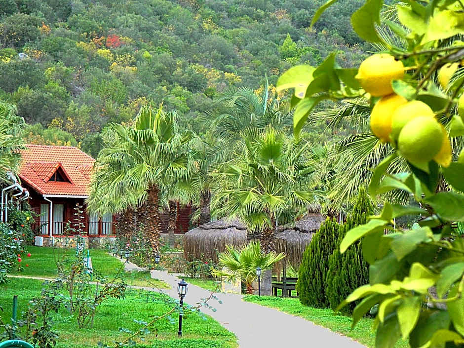 Club Sun Village Hotel