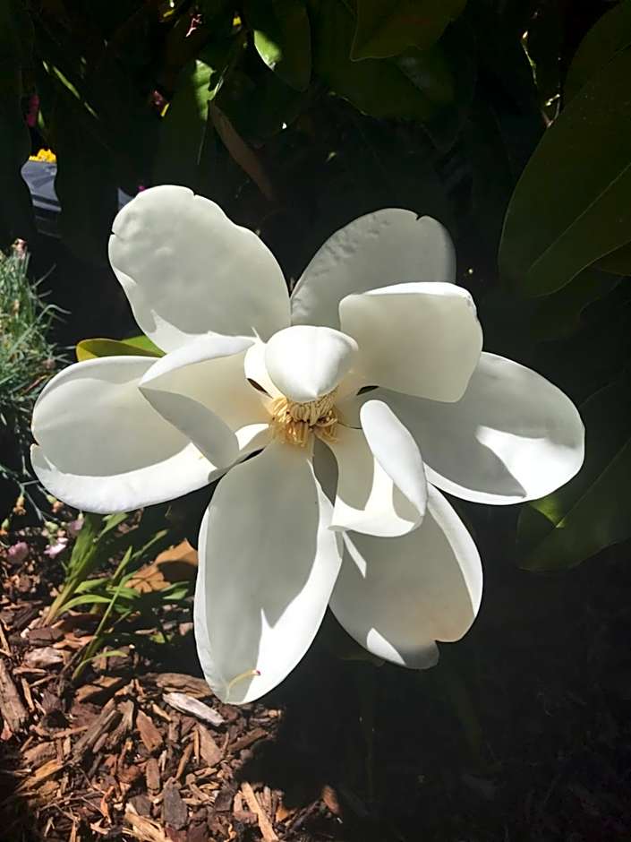 Hillside Bed and Breakfast