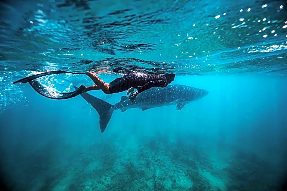 Endheri Sunset Dhangethi