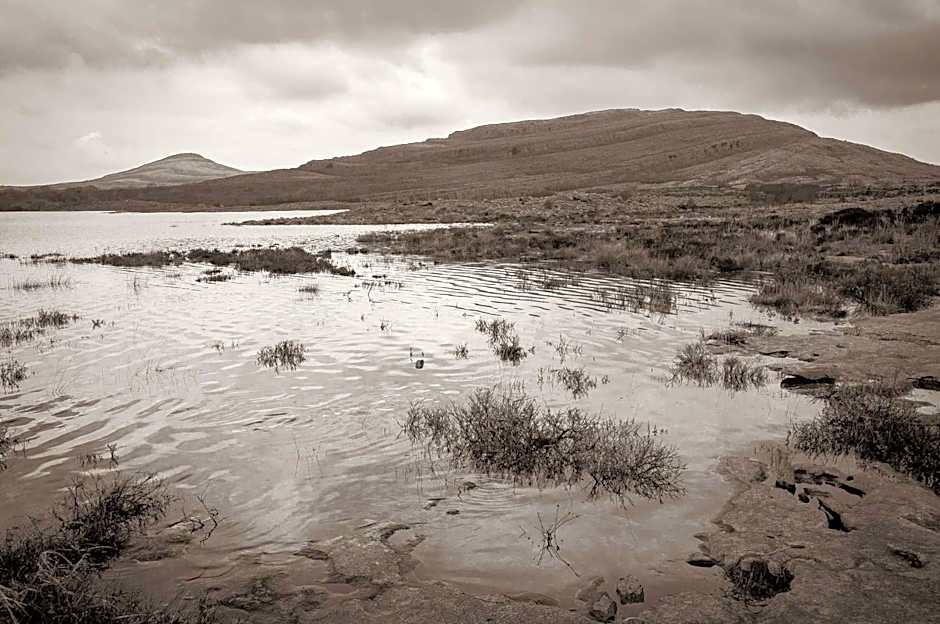 Hotel Woodstock an Ascend Hotel Collection Member