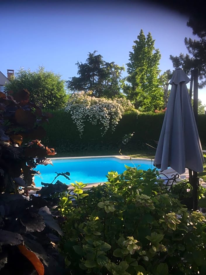 Les Prémices De La Forêt