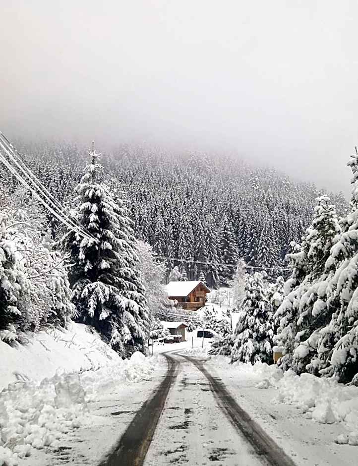 Alpine 1 bed Chalet with beautiful views