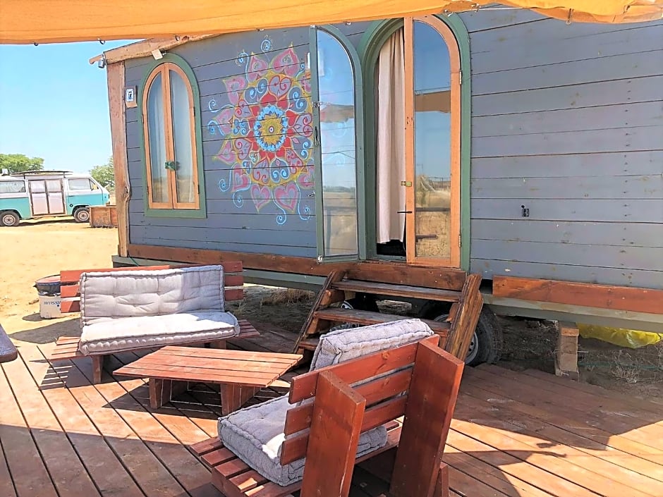 Sherman's place - שרמנ'ס פלייס