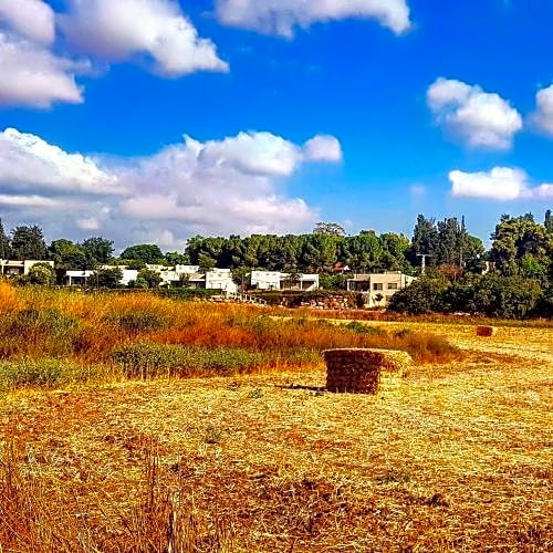Kibbutz Nachshon