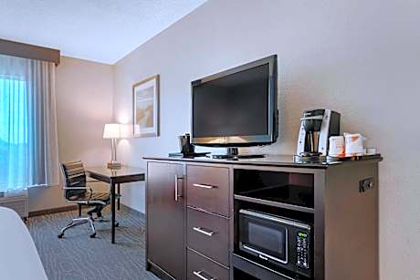 1 King Bed, Suite, Nonsmoking