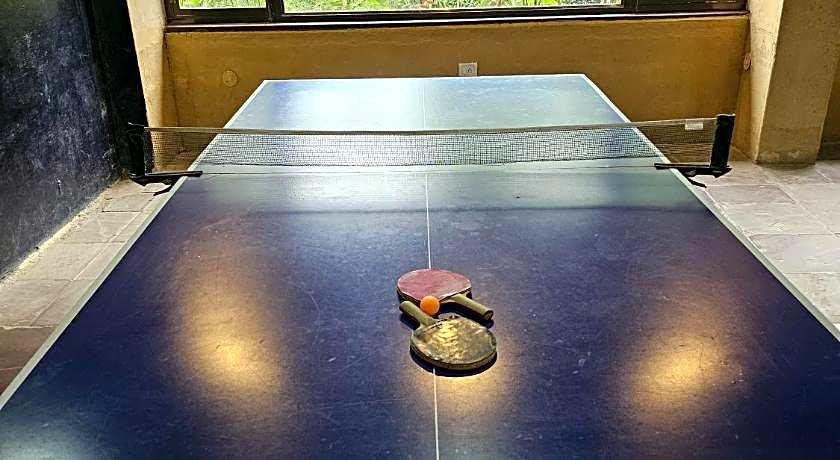 The Celebration Van Vilas