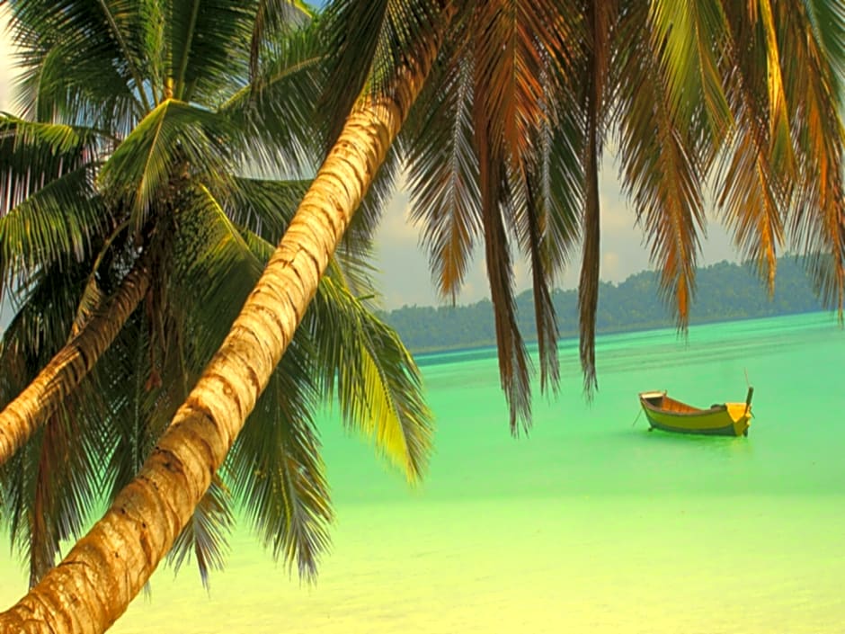 Barefoot At Havelock-Havelock Island