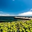Holiday Inn South Kingstown-Newport Area By IHG