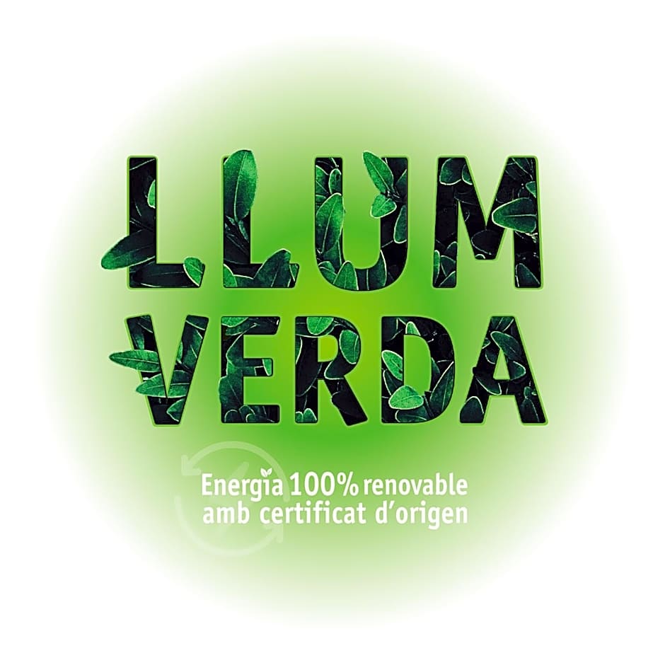 Apartaments Turístics Conseller