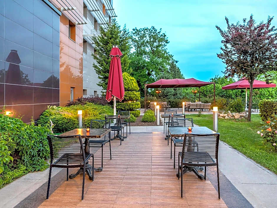 Ibis Bursa