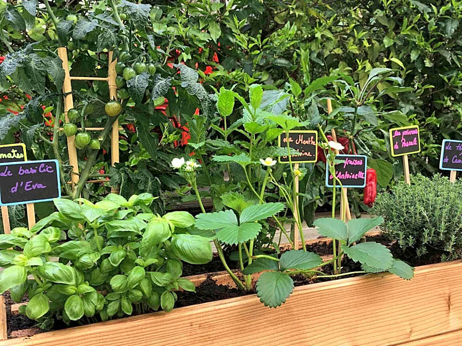 ibis Paris Gare du Nord La Fayette