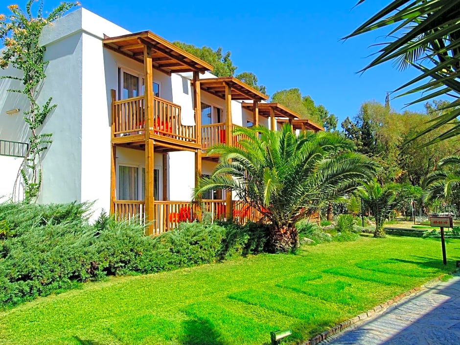 Very Chic Adult Only 18 