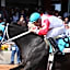 Zia Park Casino, Hotel, & Racetrack