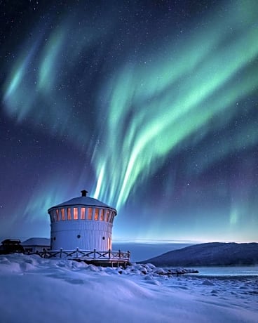 Norwegian Wild