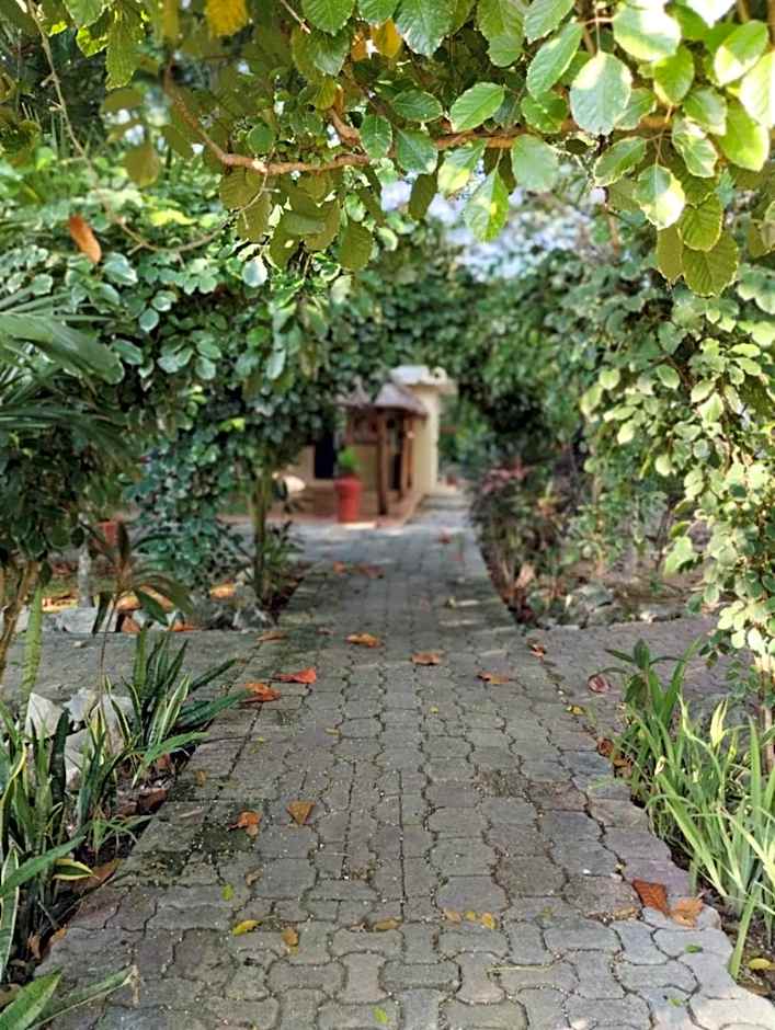 Casa Palmita
