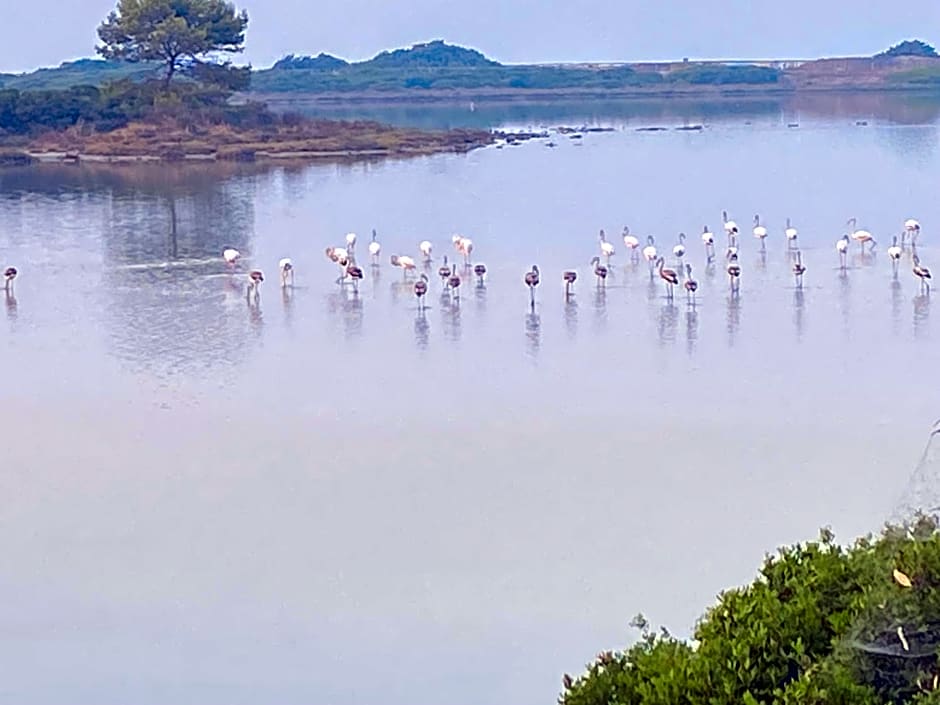 Ampio open space nel salento