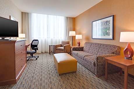 King Suite with Sofa Bed - Interior