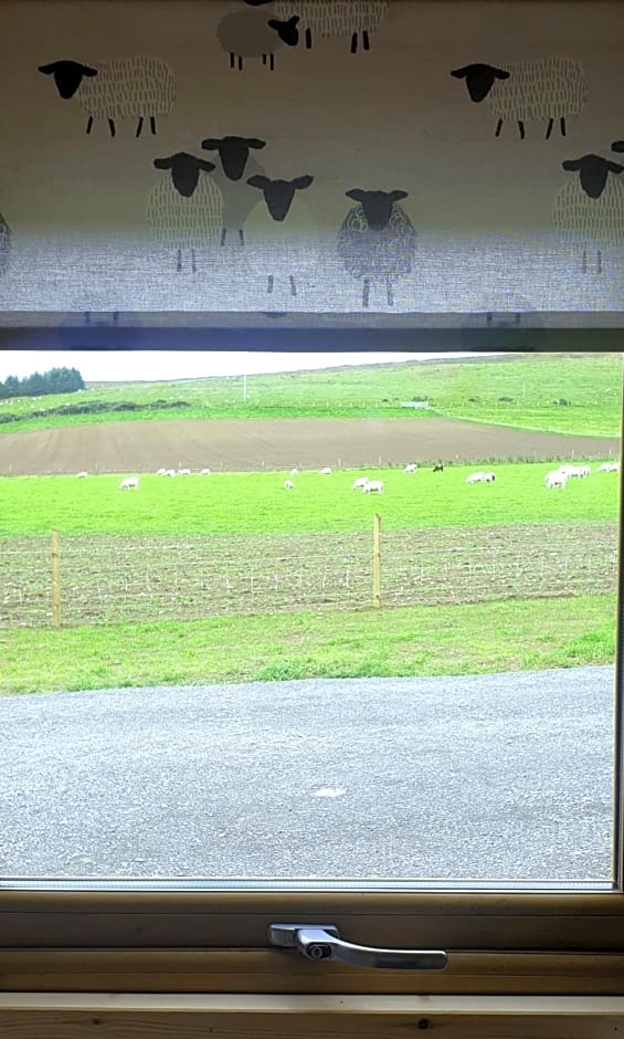 Lilly's Lodges Orkney Hedgehog Lodge