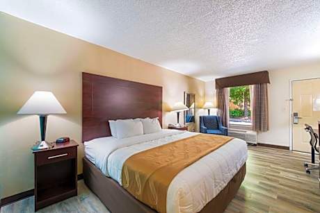King Room - Non-Smoking