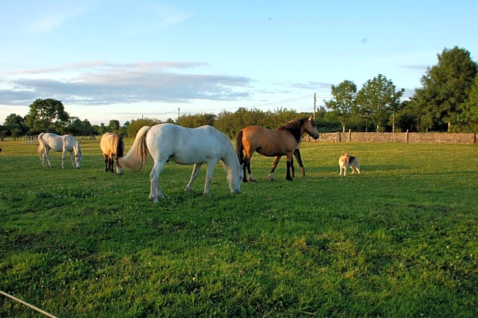 Photo 1 of 29 of The Little Flock Farm
