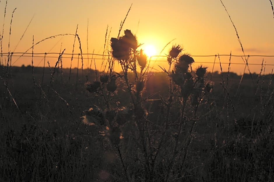 Stichting Veenloopcentrum Weiteveen