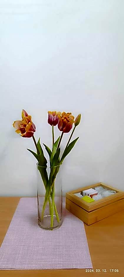 Borisz Apartman Zalakaros