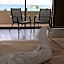 Cuxos Hotel Beachfront