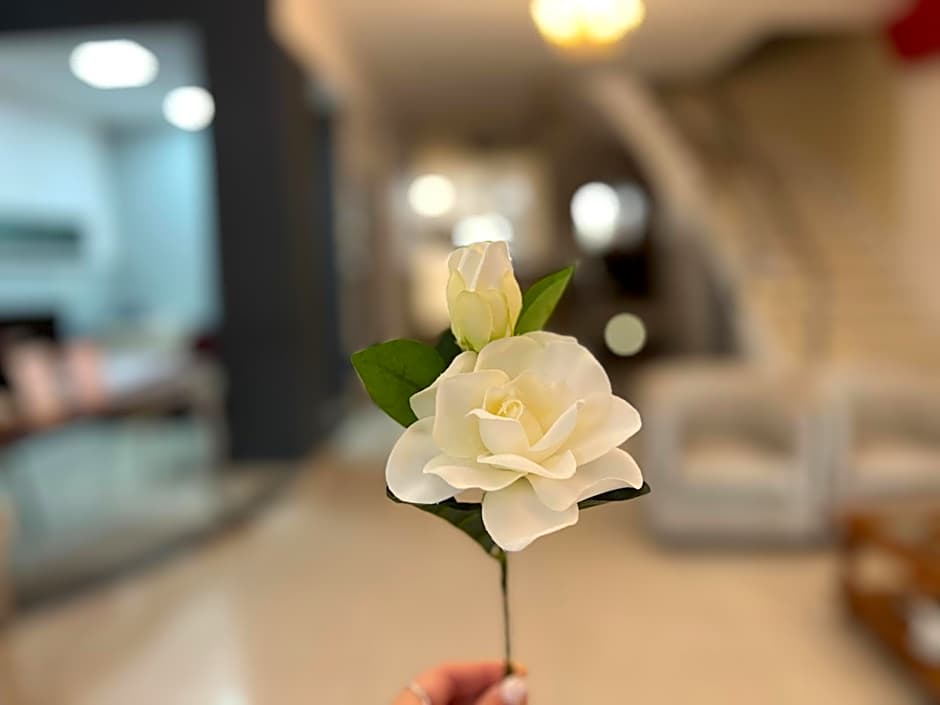 Alpino Hotel