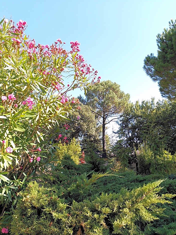 Brin d Ardèche