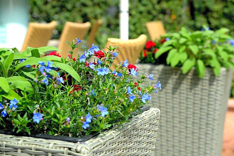 Hotel & Restaurant Graf