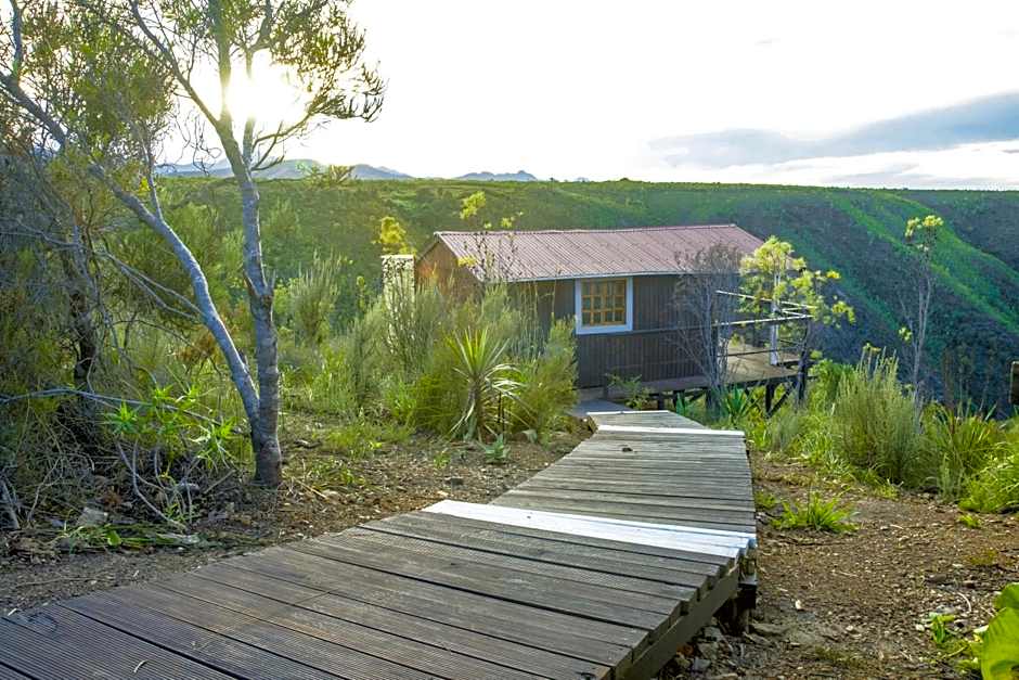 Rainforest Ridge Eco Resort