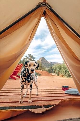 Zion Glamping Adventures