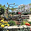 Salvia Villas