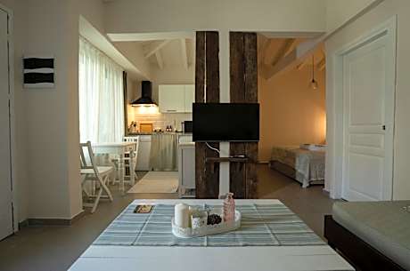 Studio with Terrace