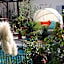 Hotel - Appartements Schmied Hans