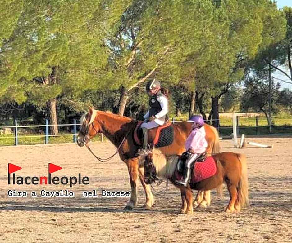 Morris Bed & Breakfast