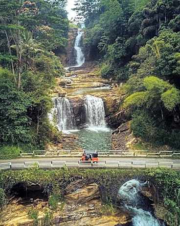 Tea Cottage Resort and Spa