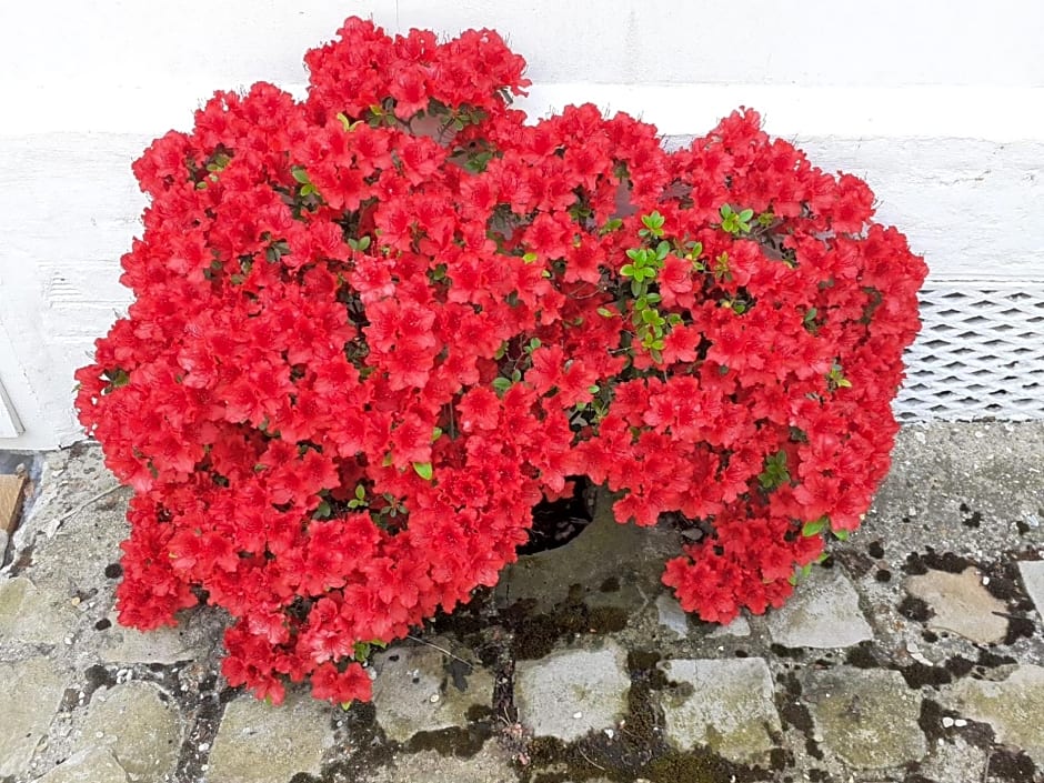 Manoir de l'As de Trèfle